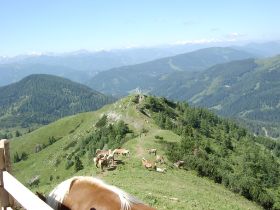 Dachstein Ursprungsalm 113.jpg