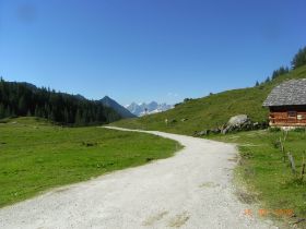 Dachstein Ursprungsalm 074.jpg